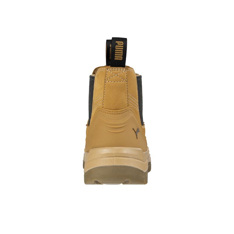 PU630377 image