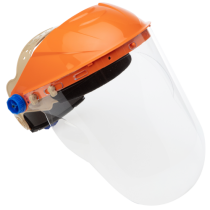 Browguard Visor Combo