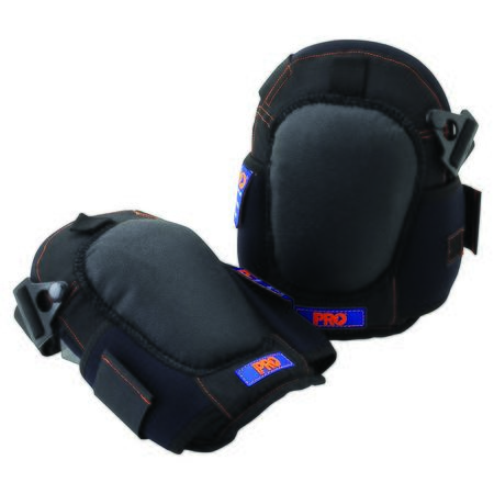 KPLS image